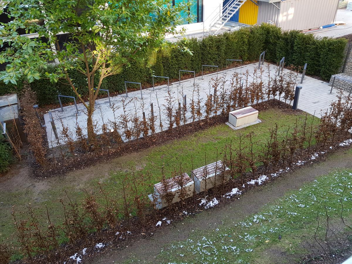 Cityapartments Duesseldorf City Dış mekan fotoğraf